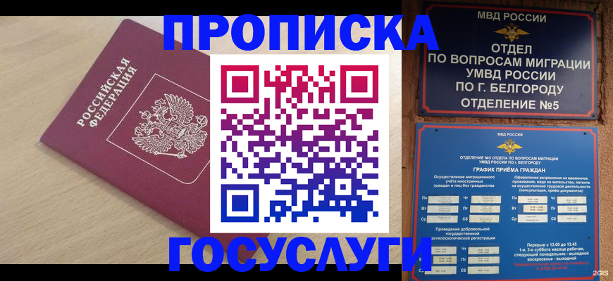 прописка законно в Камызяке